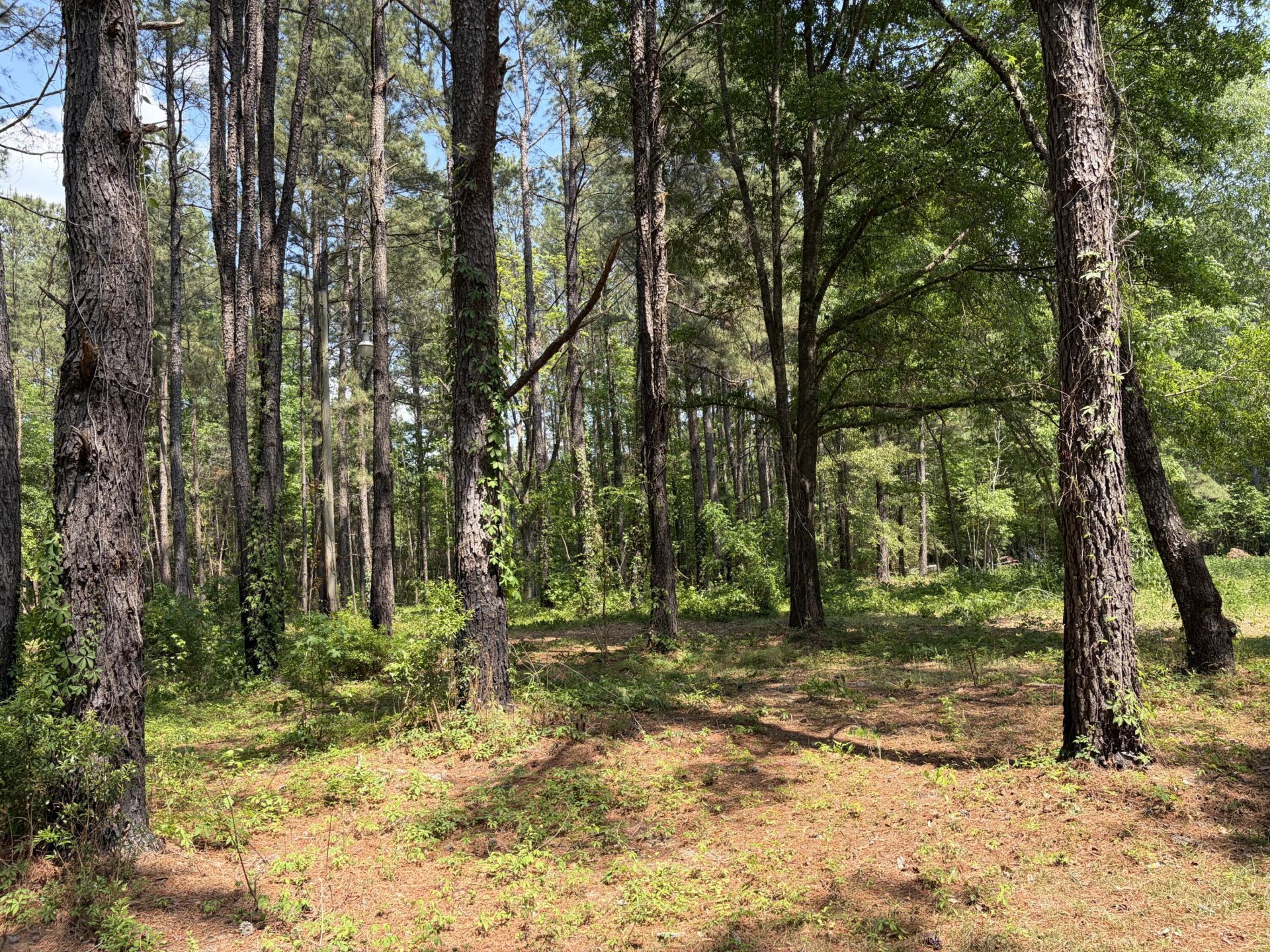 2022 Lumber Road Photo 25