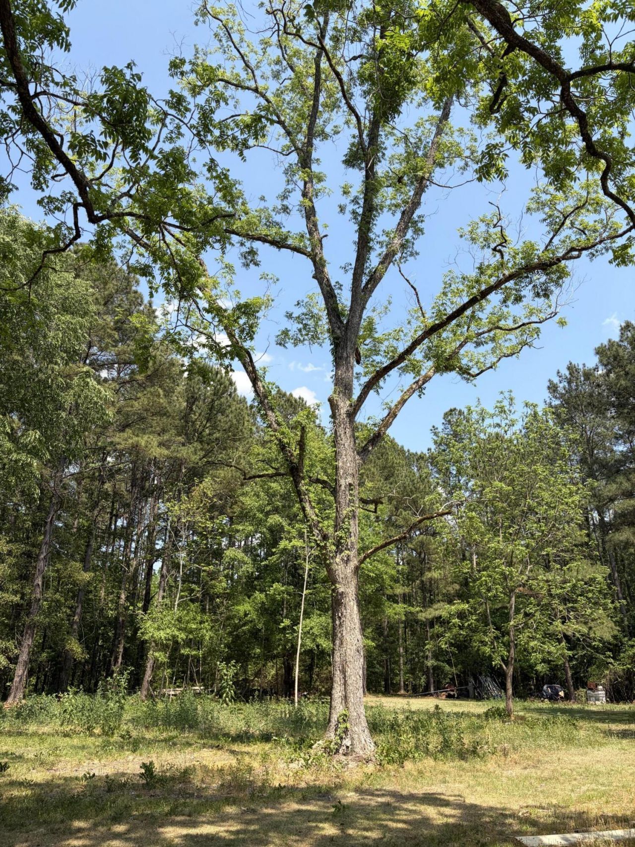 2022 Lumber Road Photo 26