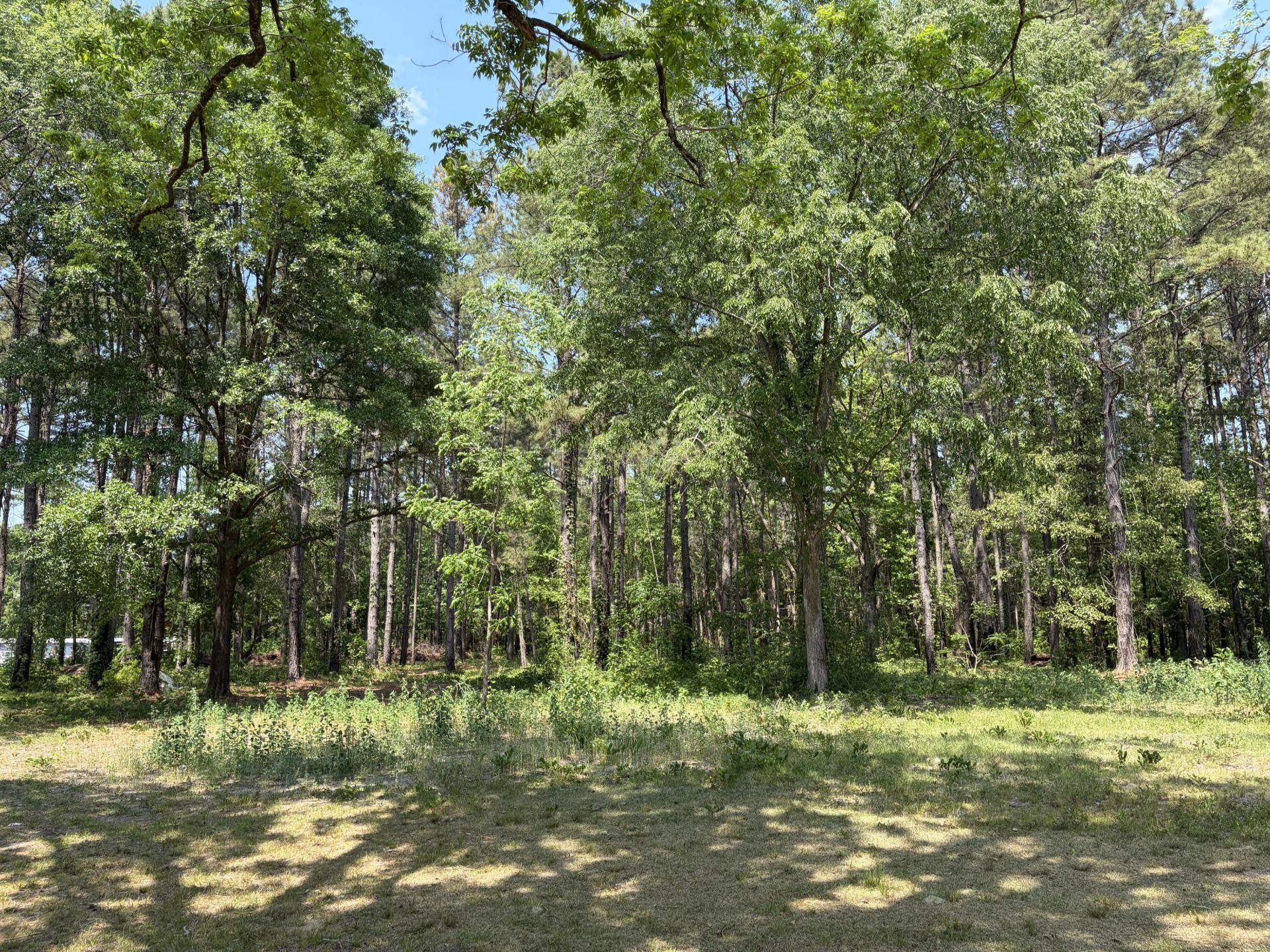 2022 Lumber Road Photo 51