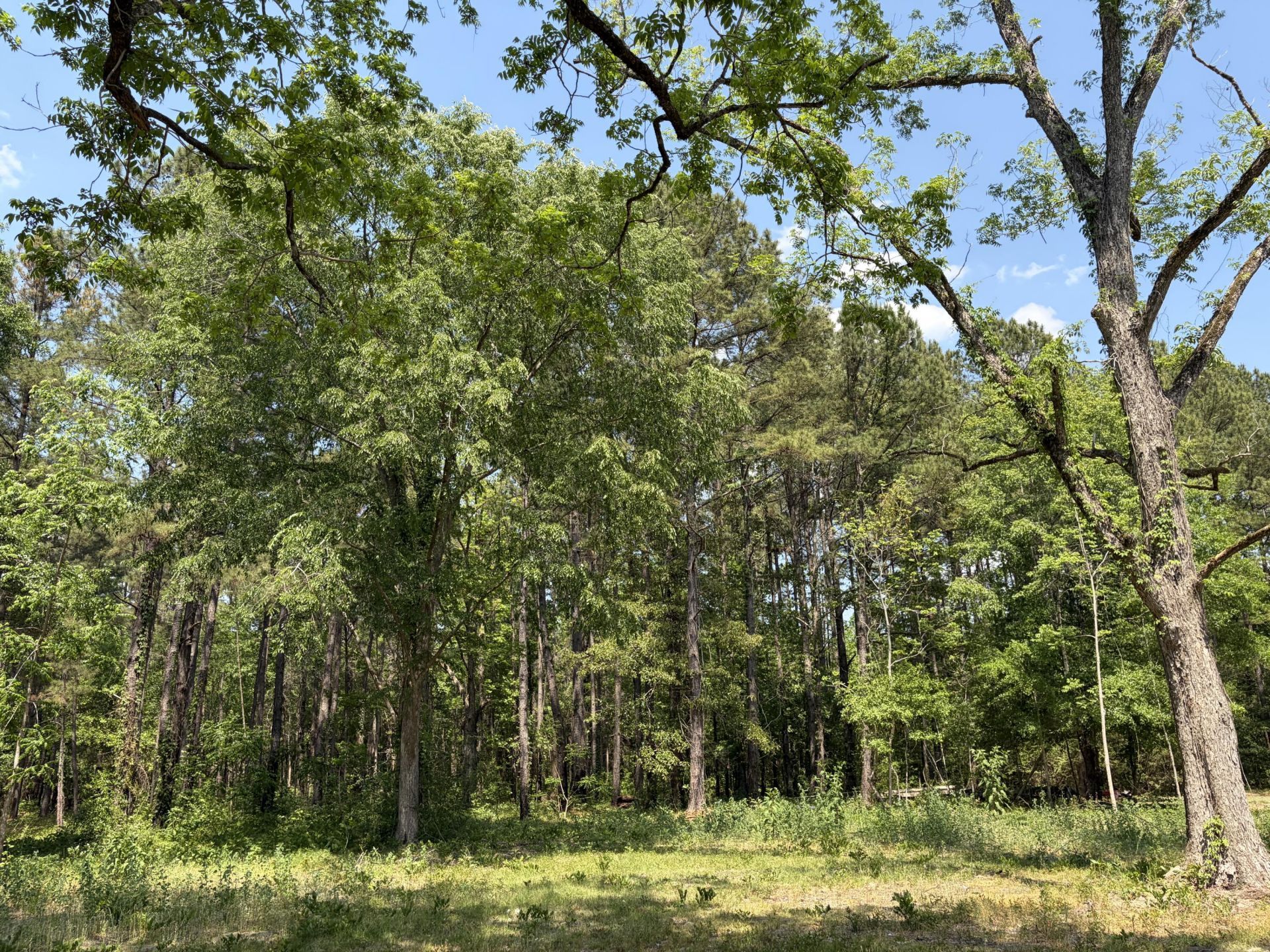 2022 Lumber Road Photo 52