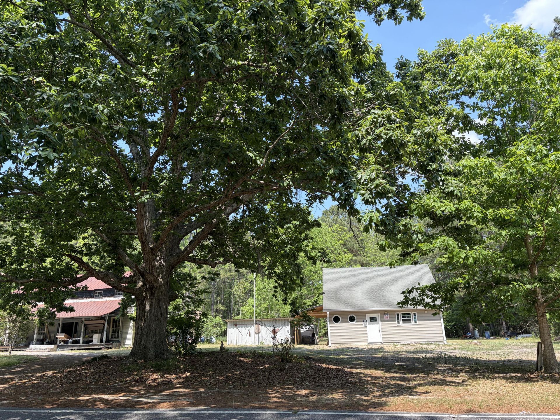 2022 Lumber Road Photo 54