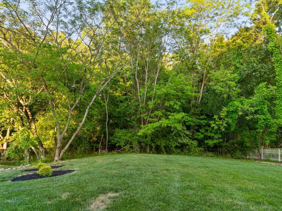 Property Image 82
