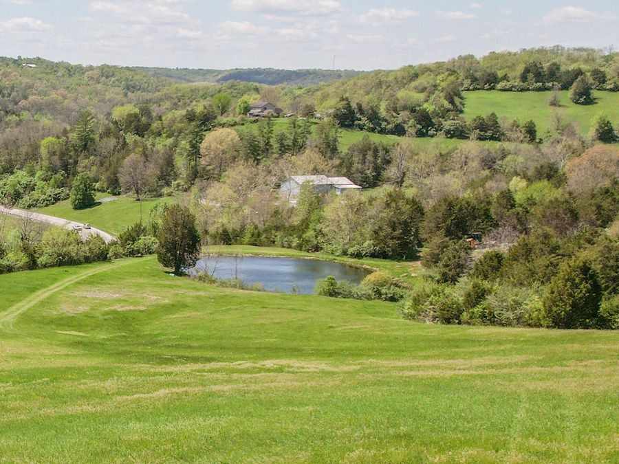 Property Image 41