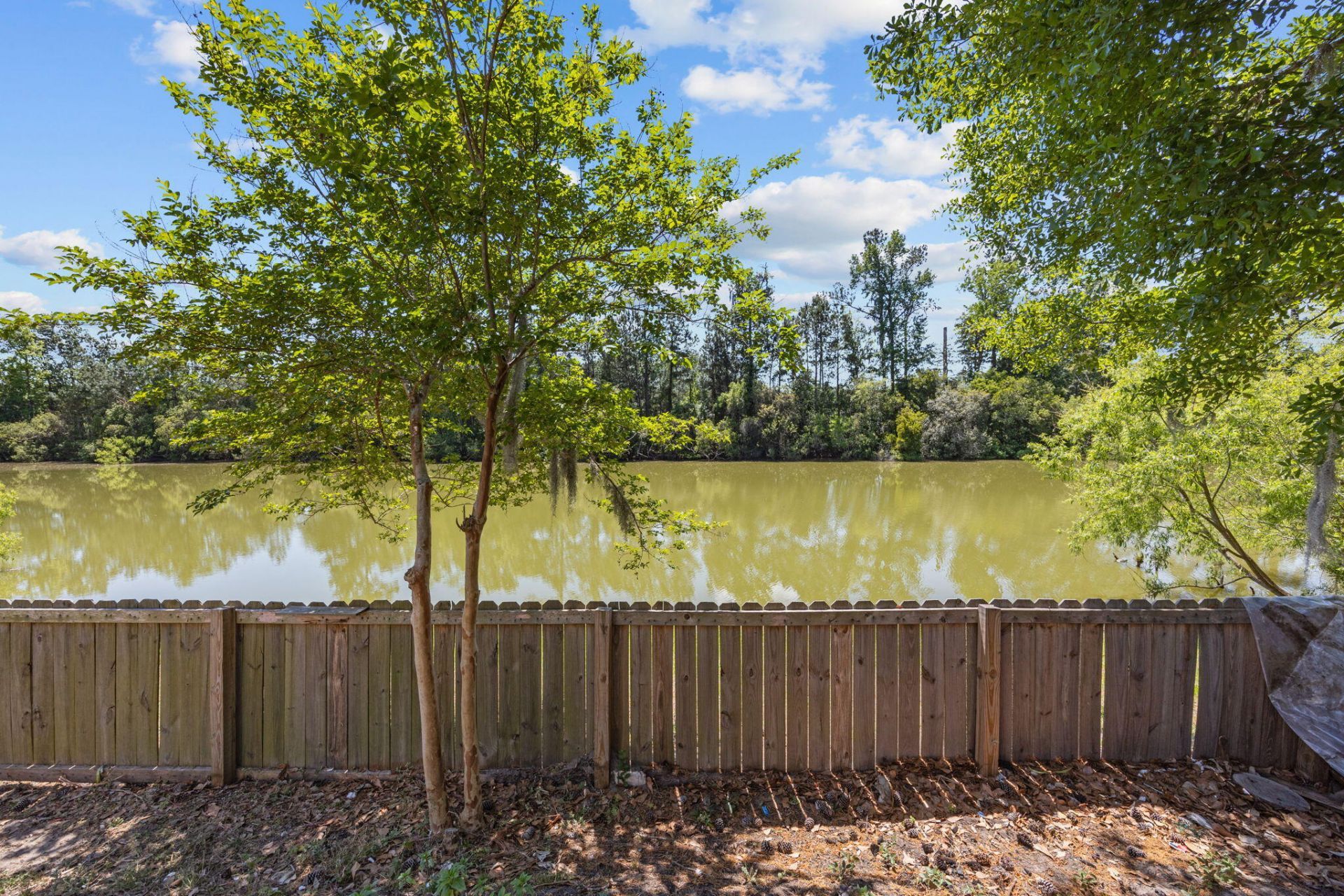 8988 Cat Tail Pond Road Photo 32