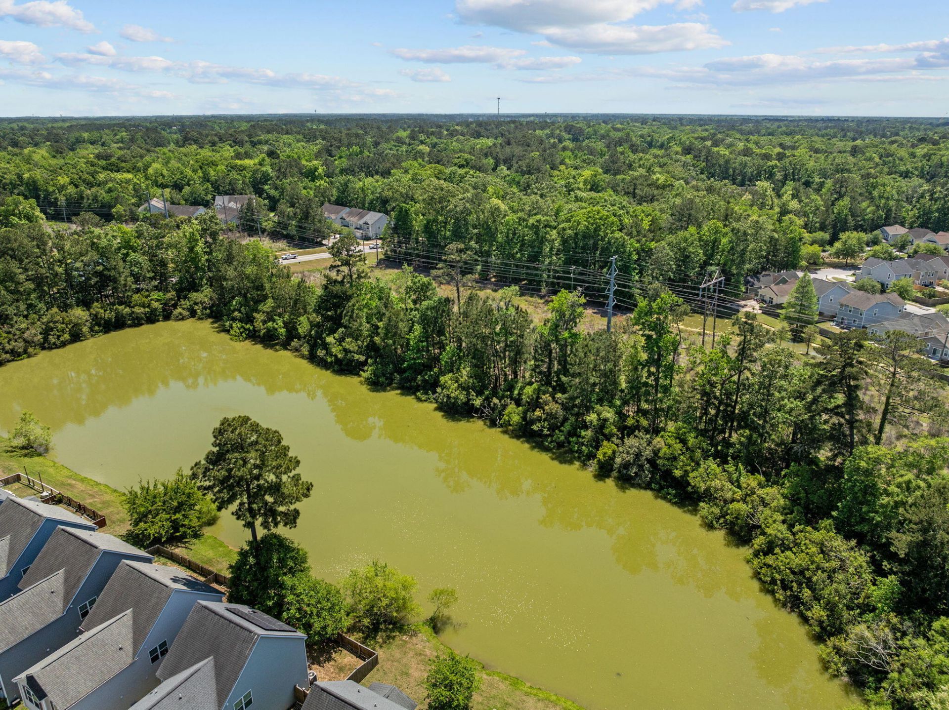 8988 Cat Tail Pond Road Photo 45