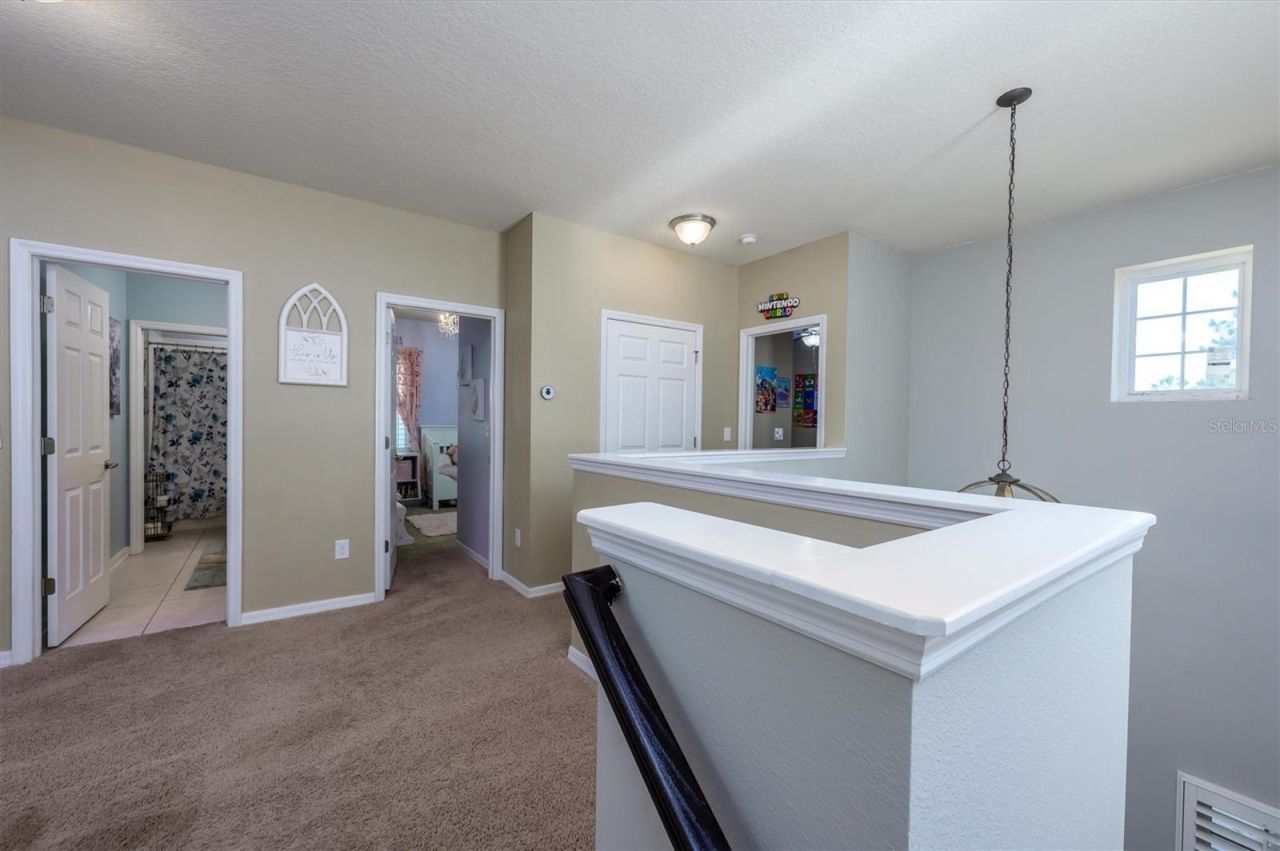 32698 Windelstraw Drive , Wesley Chapel, FL 33545 Photo