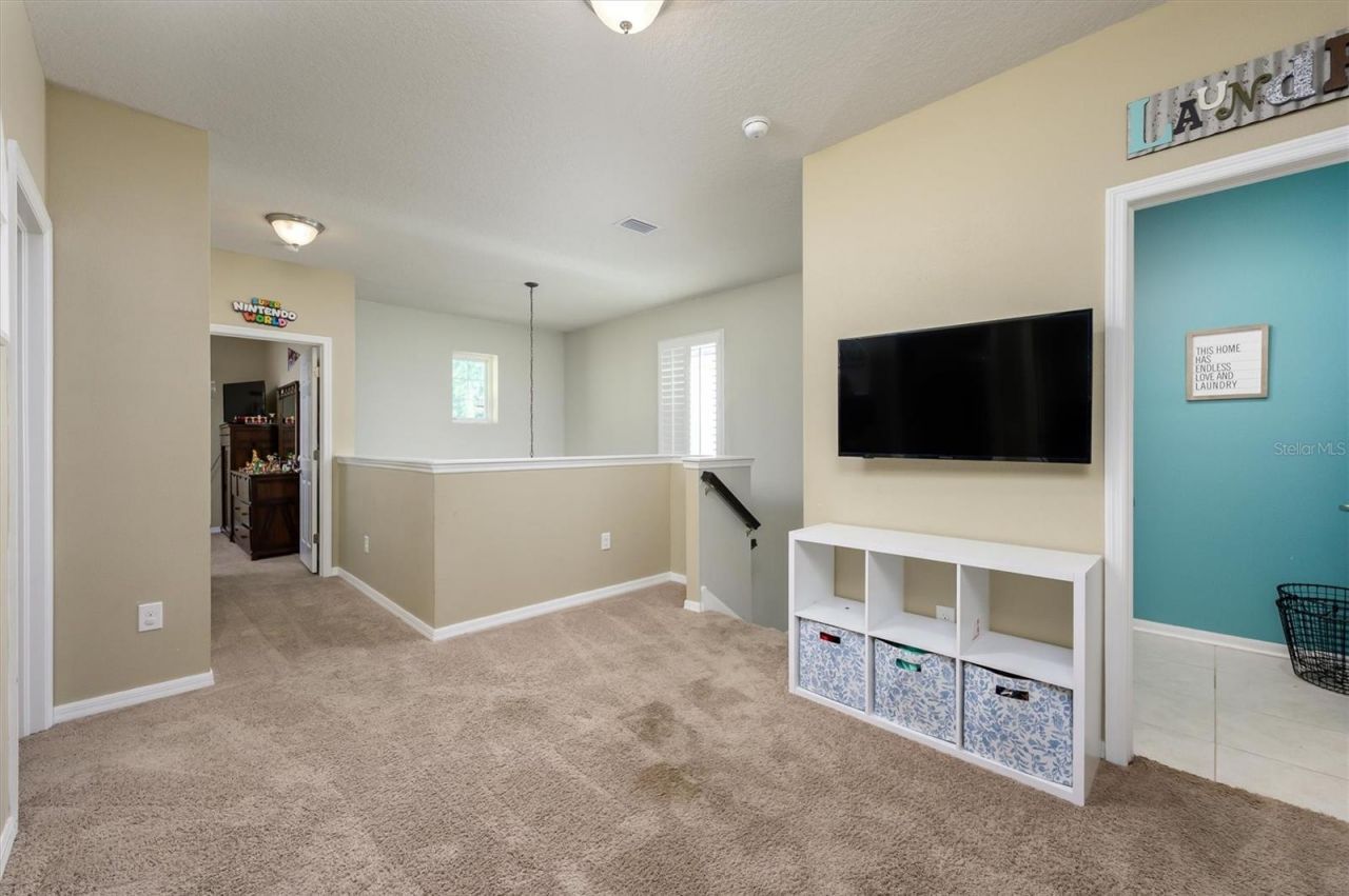 32698 Windelstraw Drive , Wesley Chapel, FL 33545 Photo