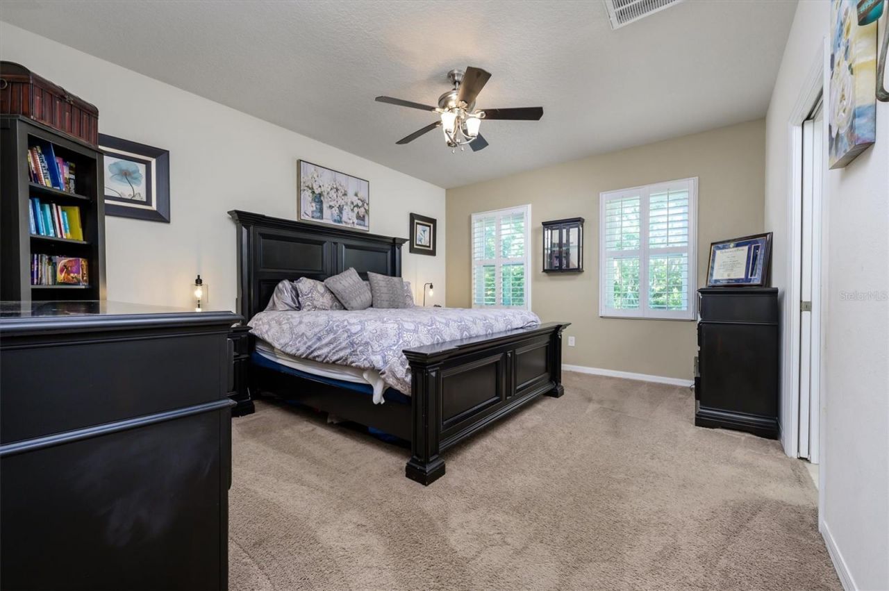 32698 Windelstraw Drive , Wesley Chapel, FL 33545 Photo