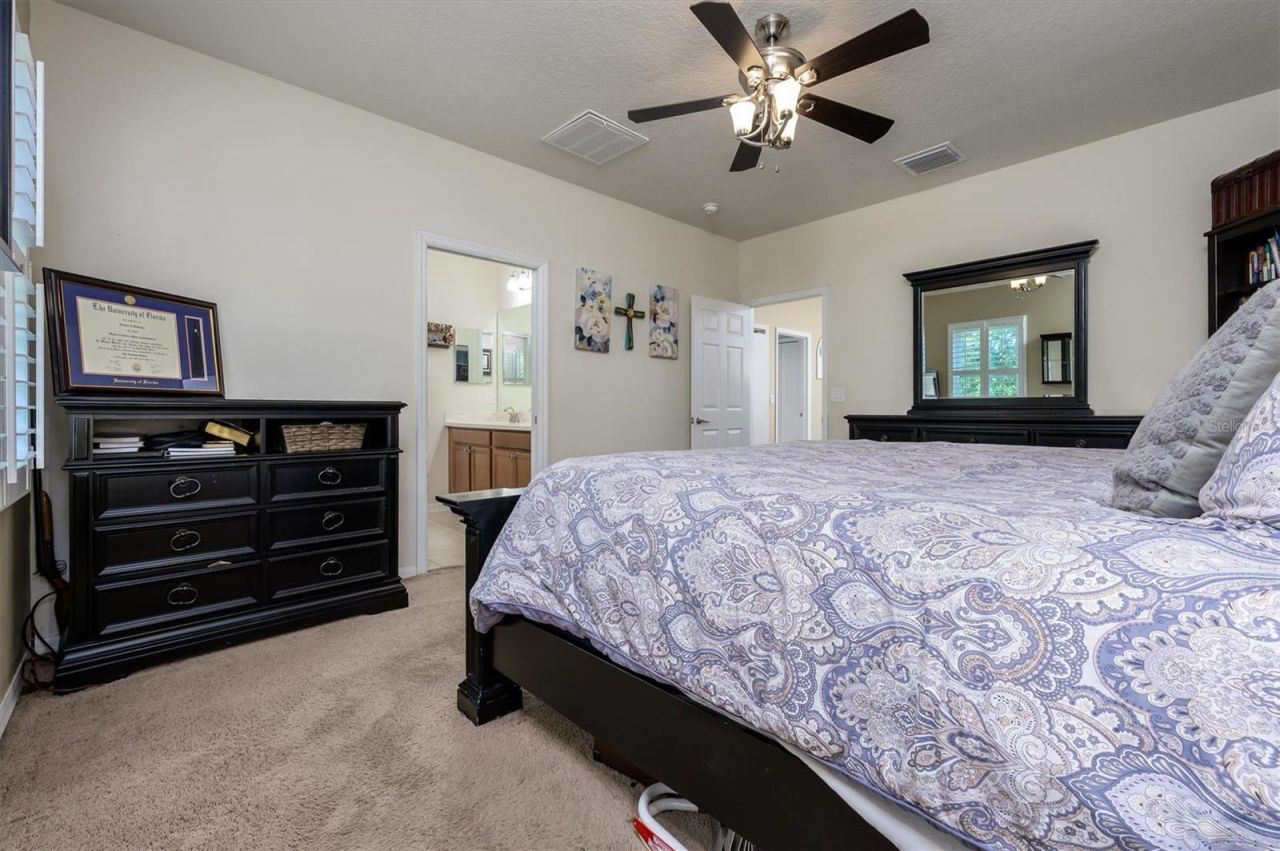 32698 Windelstraw Drive , Wesley Chapel, FL 33545 Photo