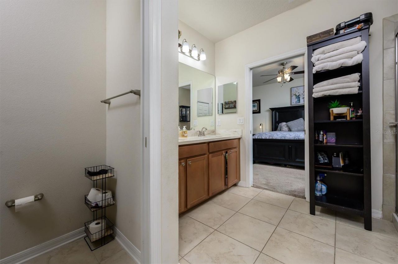 32698 Windelstraw Drive , Wesley Chapel, FL 33545 Photo