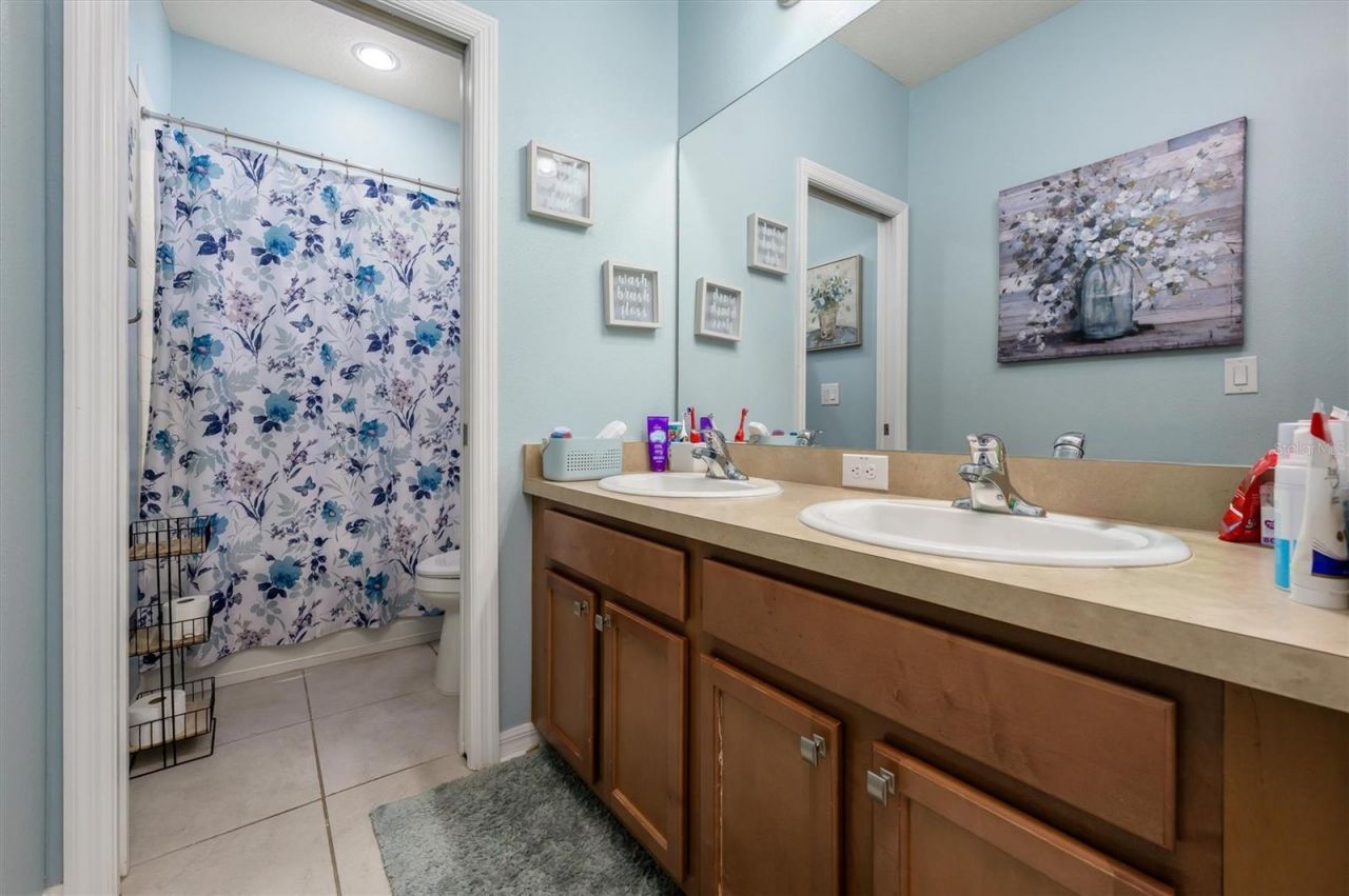 32698 Windelstraw Drive , Wesley Chapel, FL 33545 Photo