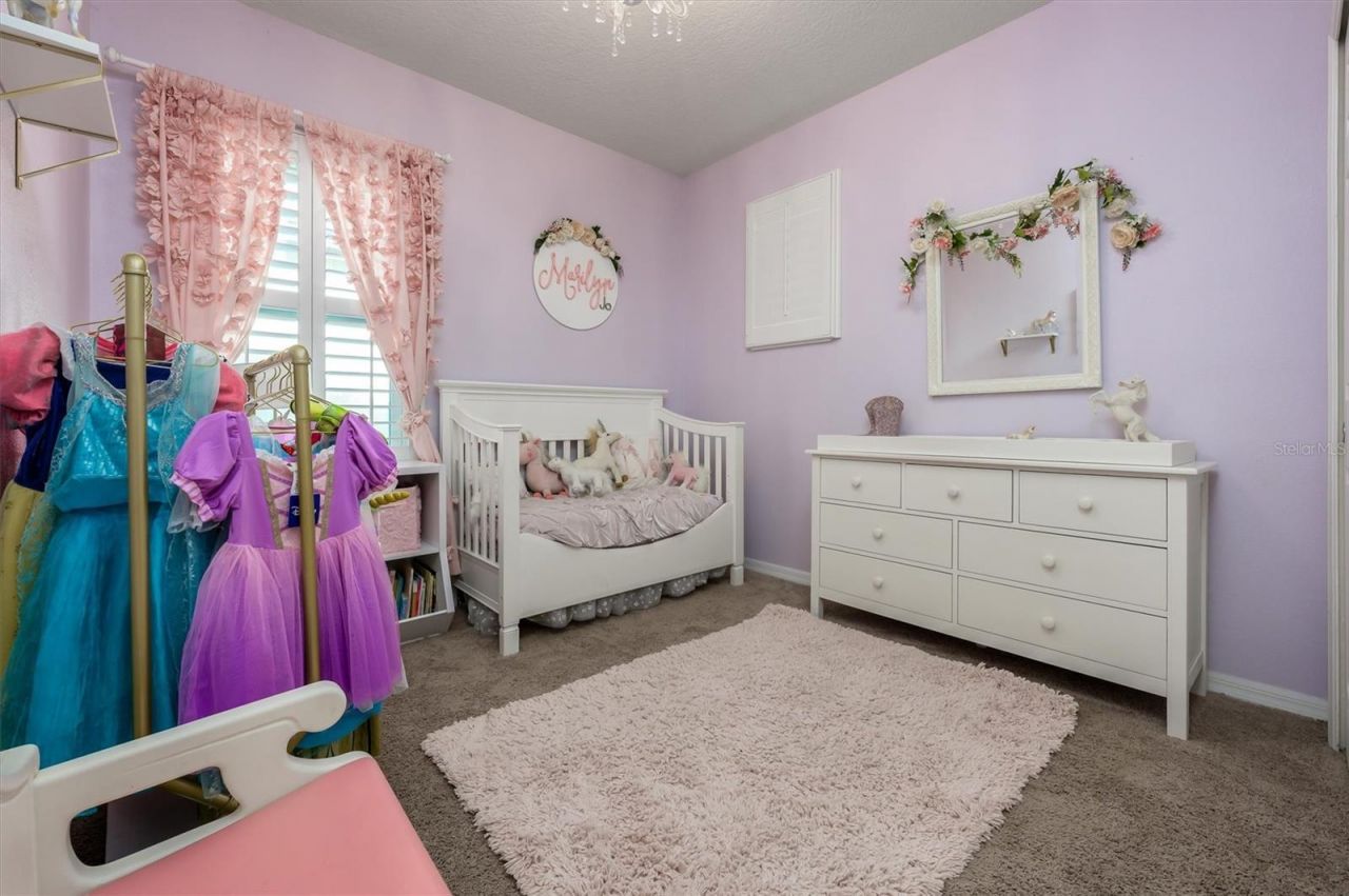 32698 Windelstraw Drive , Wesley Chapel, FL 33545 Photo