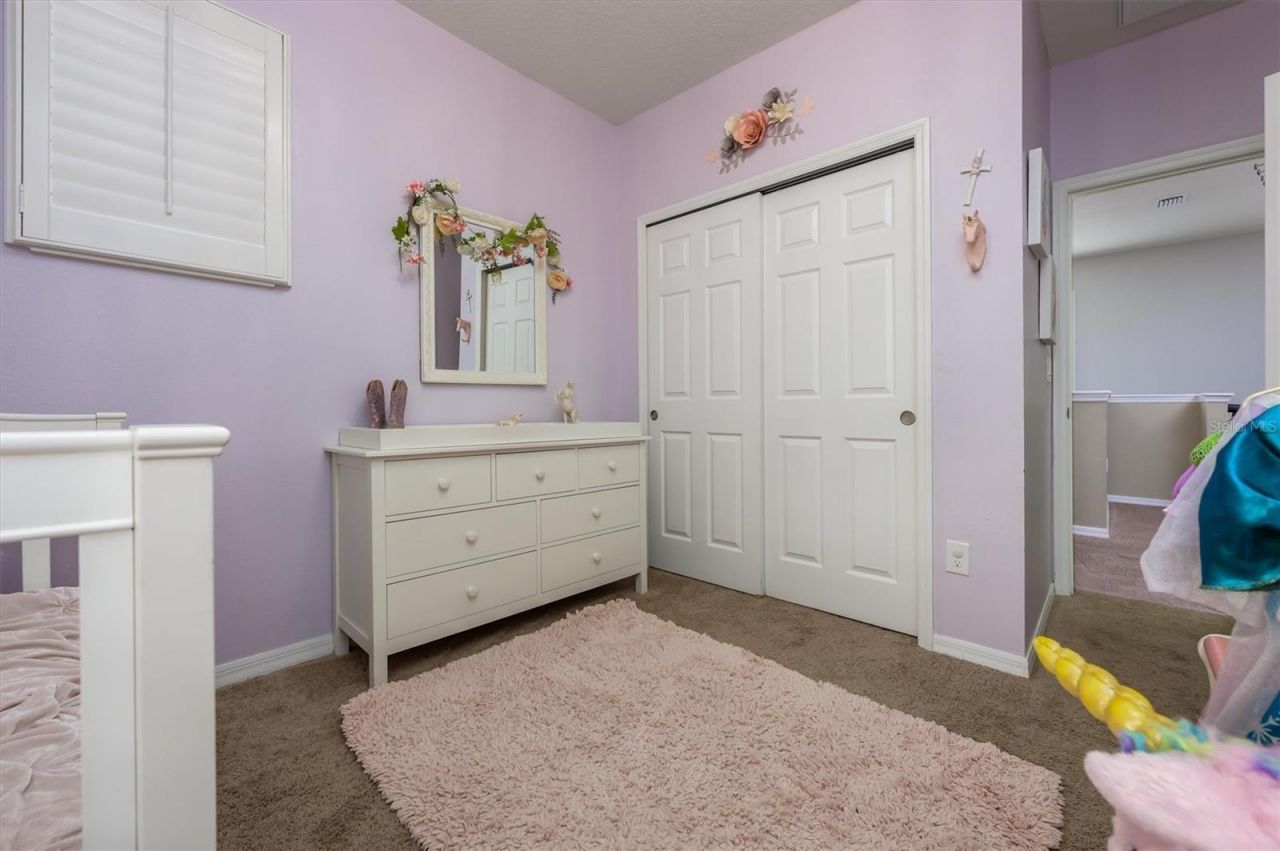 32698 Windelstraw Drive , Wesley Chapel, FL 33545 Photo