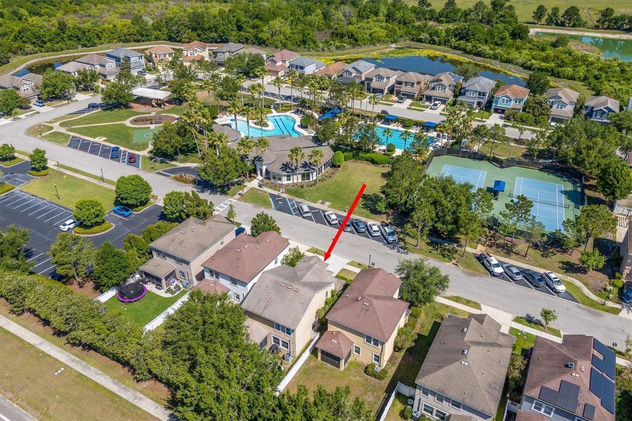 32698 Windelstraw Drive , Wesley Chapel, FL 33545 Photo