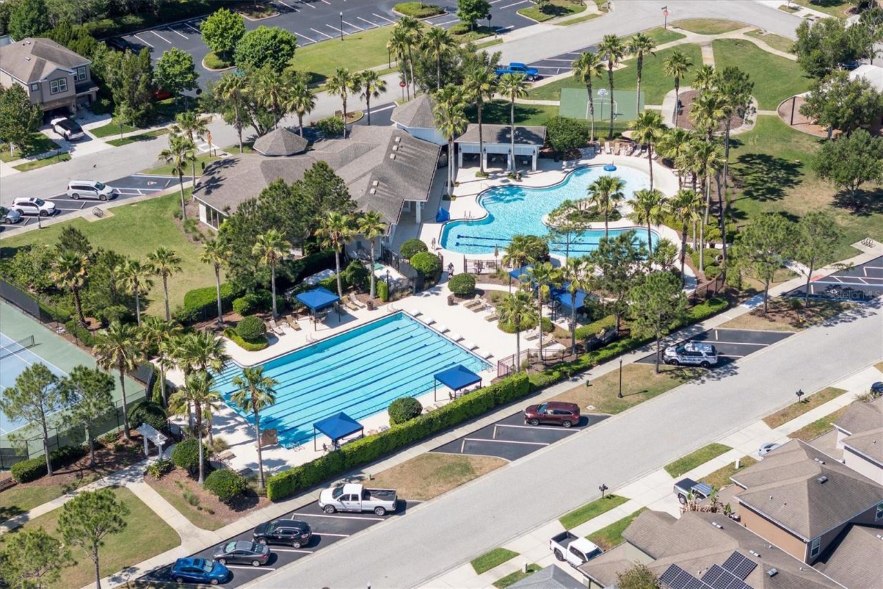 32698 Windelstraw Drive , Wesley Chapel, FL 33545 Photo