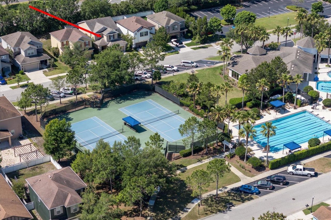 32698 Windelstraw Drive , Wesley Chapel, FL 33545 Photo