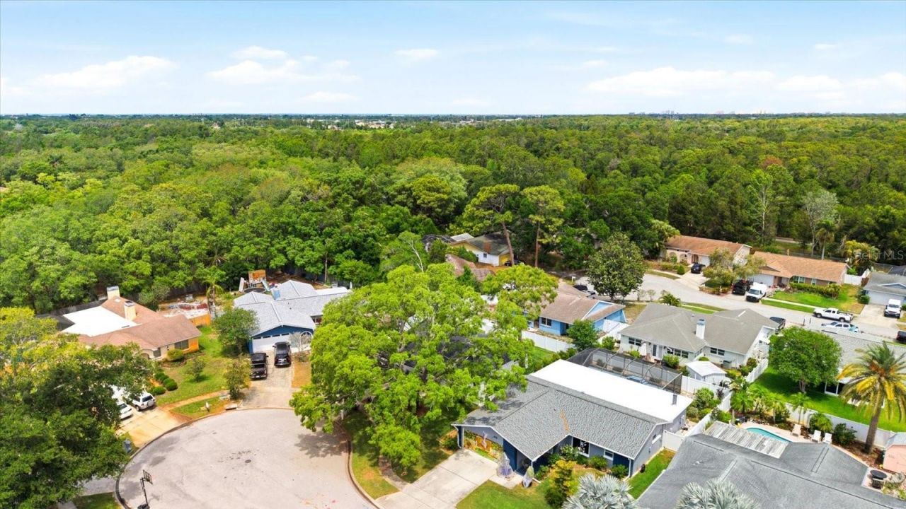 12021 107th Court , Largo, FL 33778 Photo