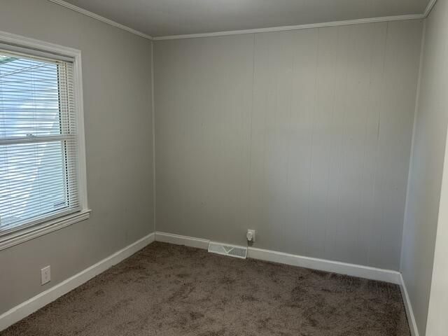 333 Annette Drive Photo 13