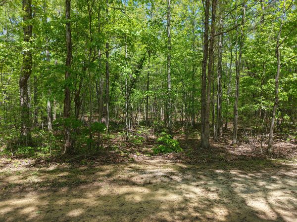 00 Jim Black Drive , Old Fort, TN 37362