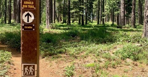 1968 Kit Carson Cir, Arnold, CA 95223 Photo