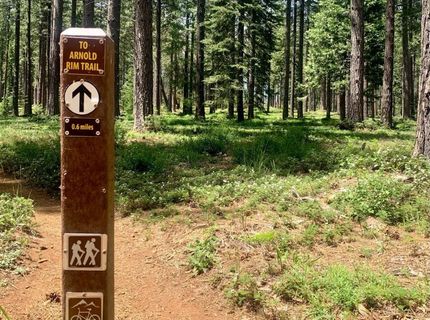 1968 Kit Carson Cir, Arnold, CA 95223 Photo