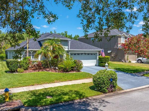 19254 FISHERMANS BEND DRIVE, LUTZ, FL 33558