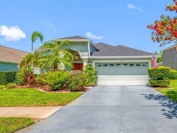 19254 FISHERMANS BEND DRIVE , LUTZ, FL 33558