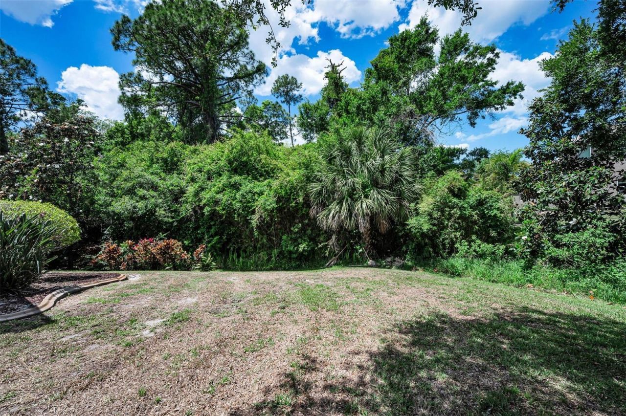 3423 Foxhall Drive, Holiday, FL 34691 Photo