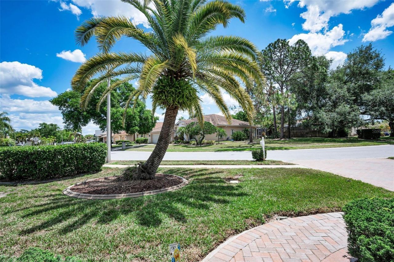3423 Foxhall Drive, Holiday, FL 34691 Photo