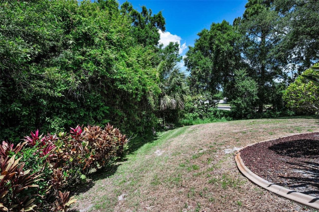 3423 Foxhall Drive, Holiday, FL 34691 Photo