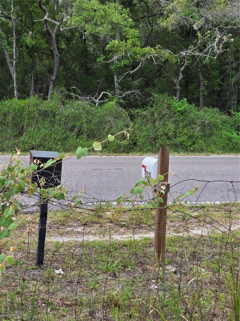 15246 Peace Boulevard, Spring Hill, FL 34610 Photo
