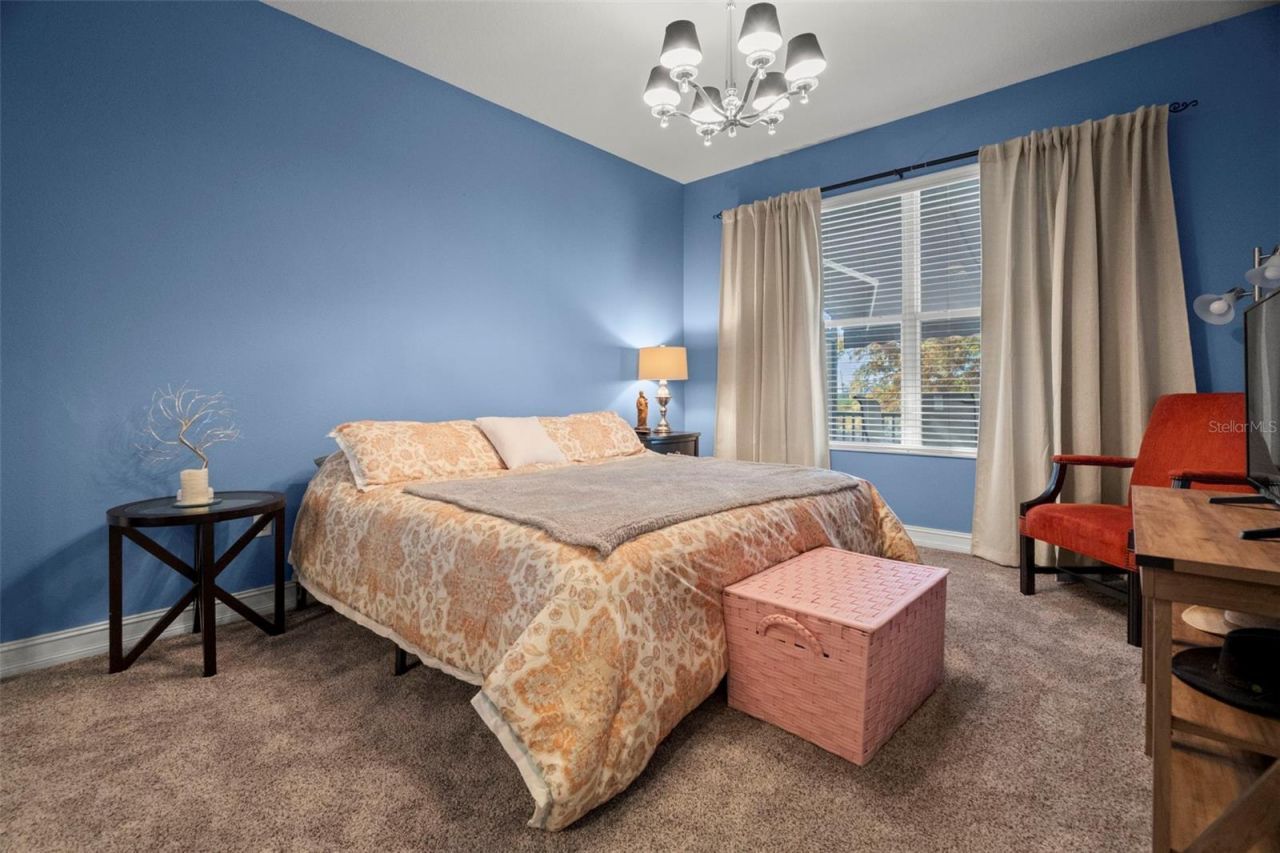 1342 Ribolla Drive , Palm Harbor, FL 34683 Photo