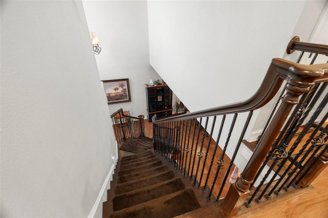 1342 Ribolla Drive , Palm Harbor, FL 34683 Photo