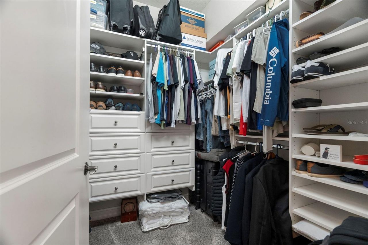 1342 Ribolla Drive , Palm Harbor, FL 34683 Photo