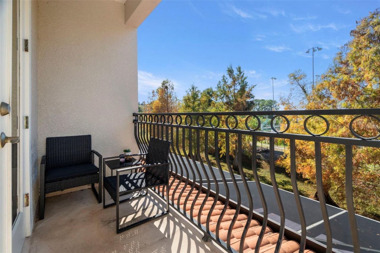 1342 Ribolla Drive , Palm Harbor, FL 34683 Photo