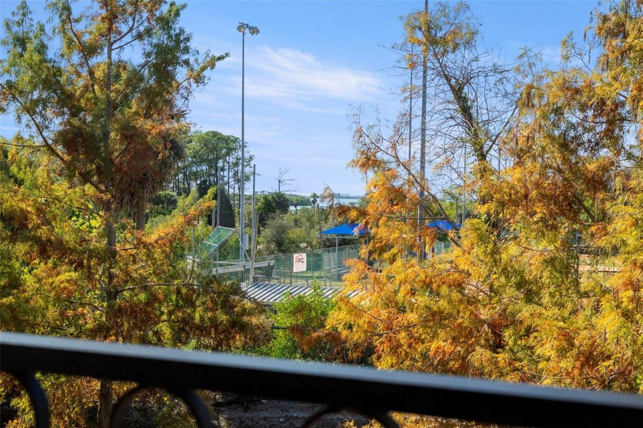 1342 Ribolla Drive , Palm Harbor, FL 34683 Photo