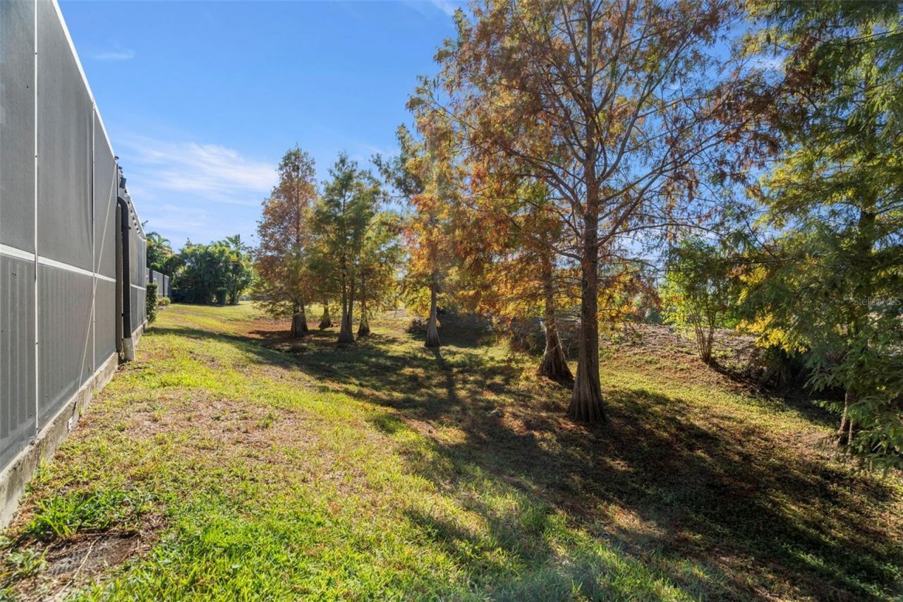 1342 Ribolla Drive , Palm Harbor, FL 34683 Photo