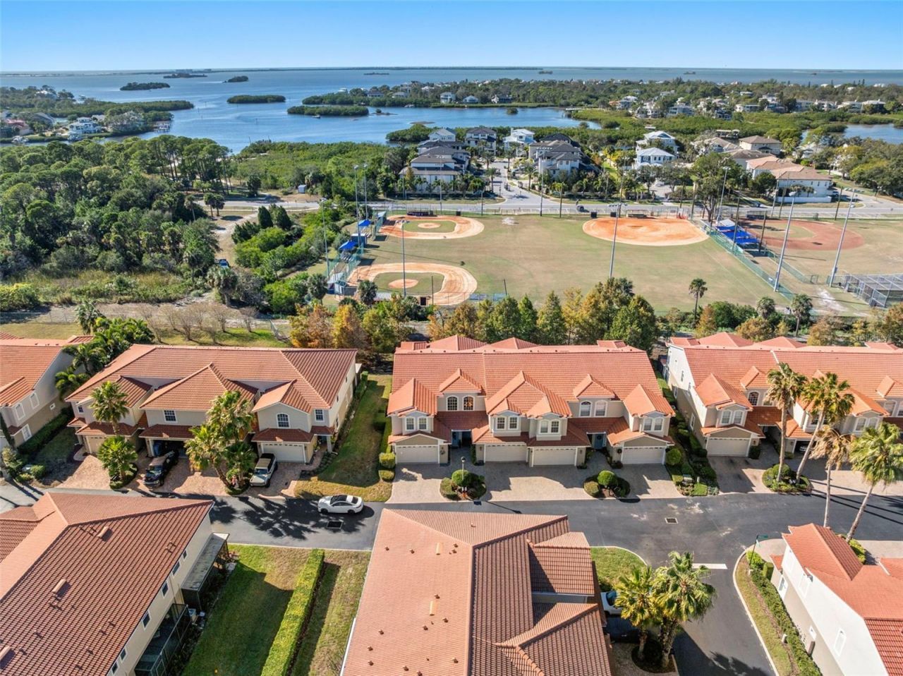 1342 Ribolla Drive , Palm Harbor, FL 34683 Photo