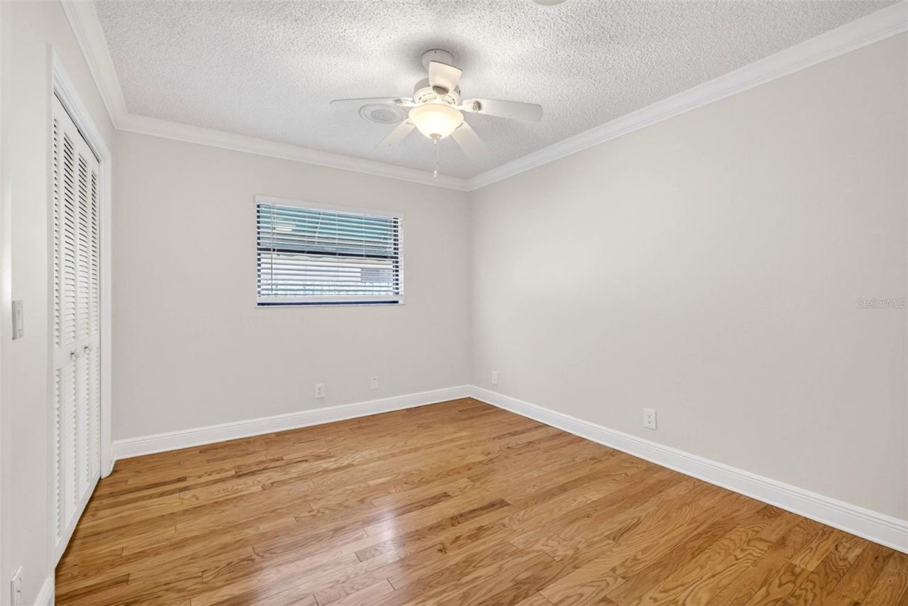 817 Bannockburn Avenue, Temple Terrace, FL 33617 Photo