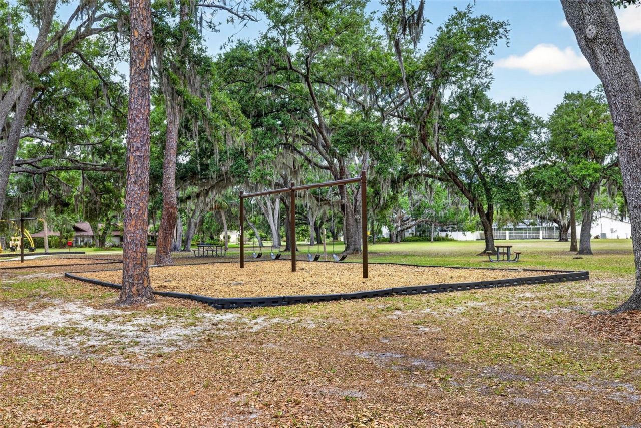 817 Bannockburn Avenue, Temple Terrace, FL 33617 Photo