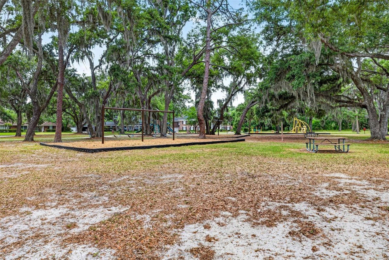 817 Bannockburn Avenue, Temple Terrace, FL 33617 Photo