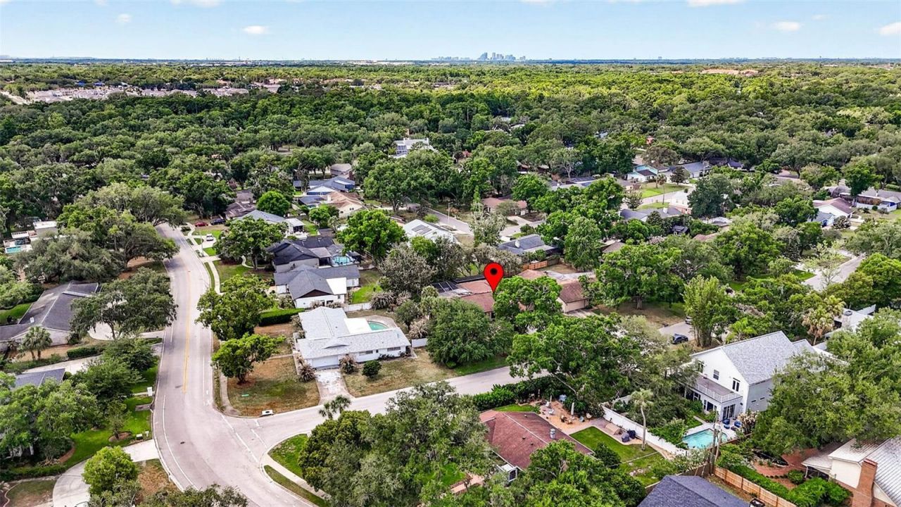 817 Bannockburn Avenue, Temple Terrace, FL 33617 Photo