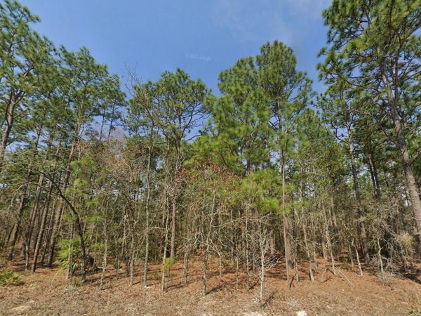 TBD (Lot 12) SW 128TH TERRACE ROAD, OCALA, FL 34481