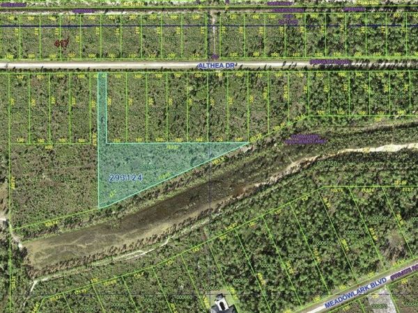 ALTHEA DRIVE, INDIAN LAKE ESTATES, FL 33855