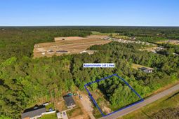 Tbd Lot 3 Pee Dee Hwy.  photo 4