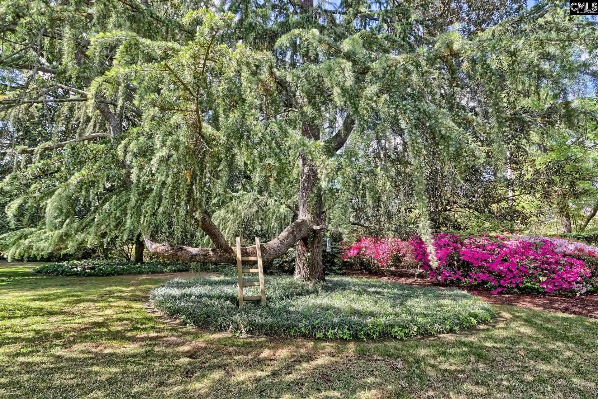 415 Harden Street  Photo 10