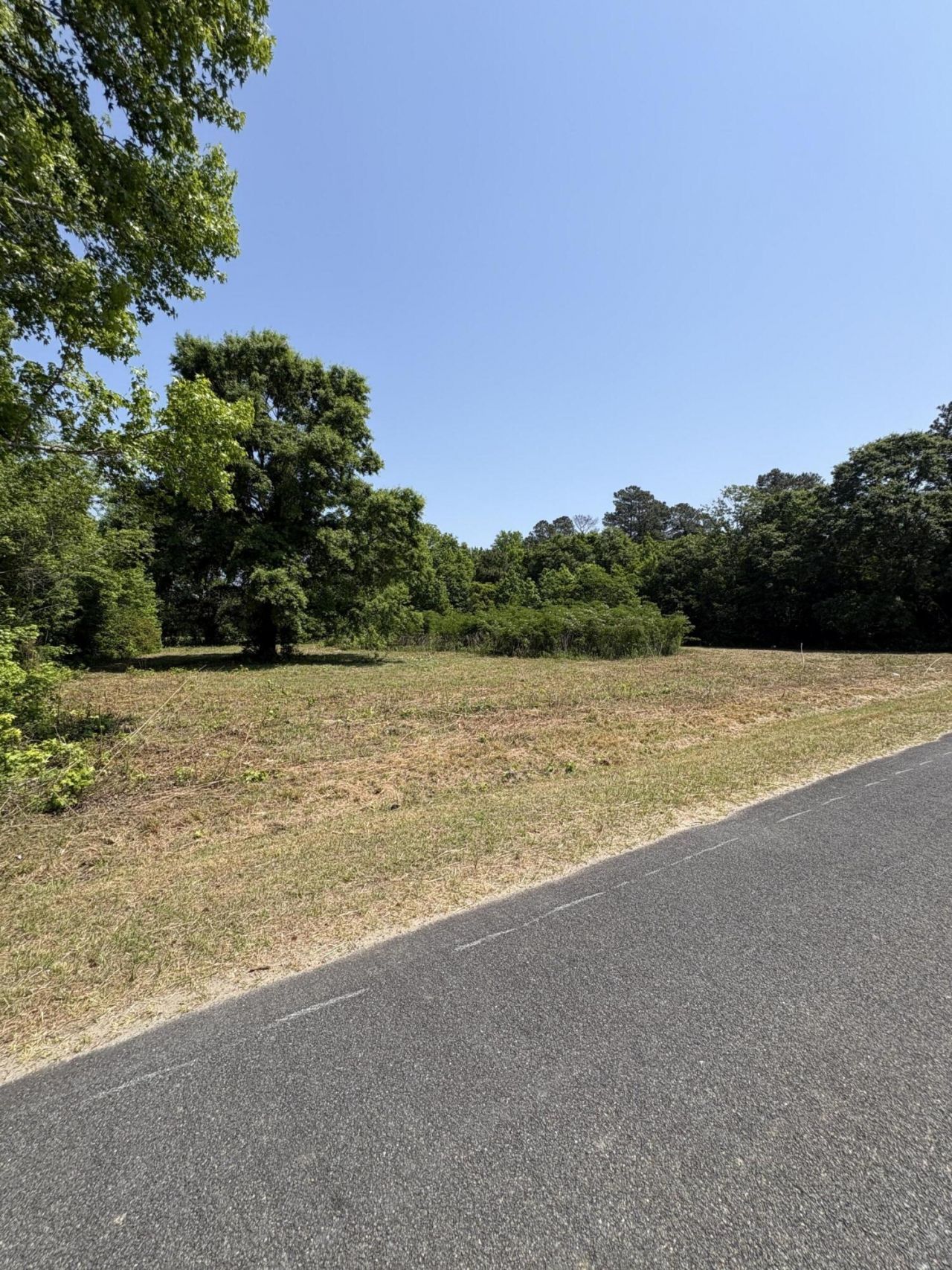 419 Old Bell Road Photo 3