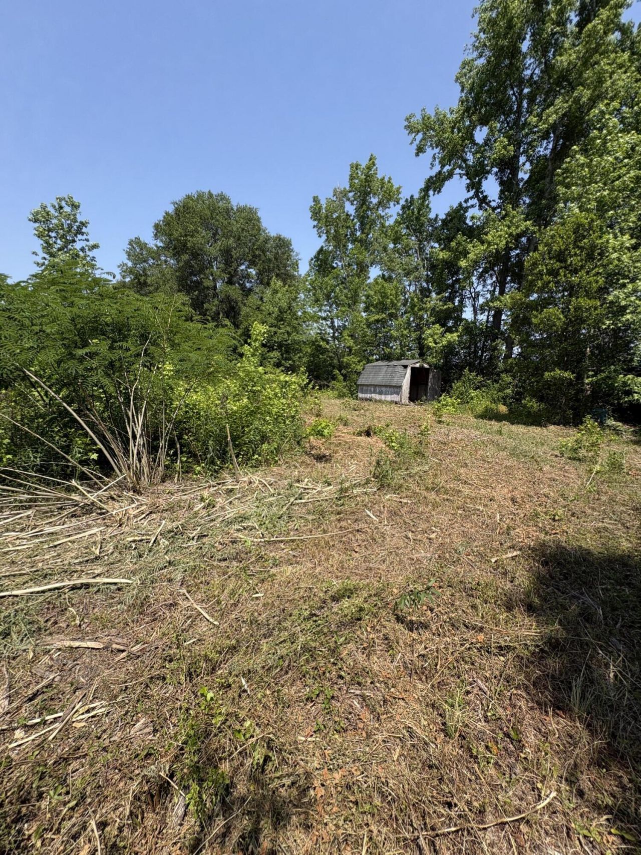 419 Old Bell Road Photo 4