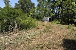 419 Old Bell Road photo 4
