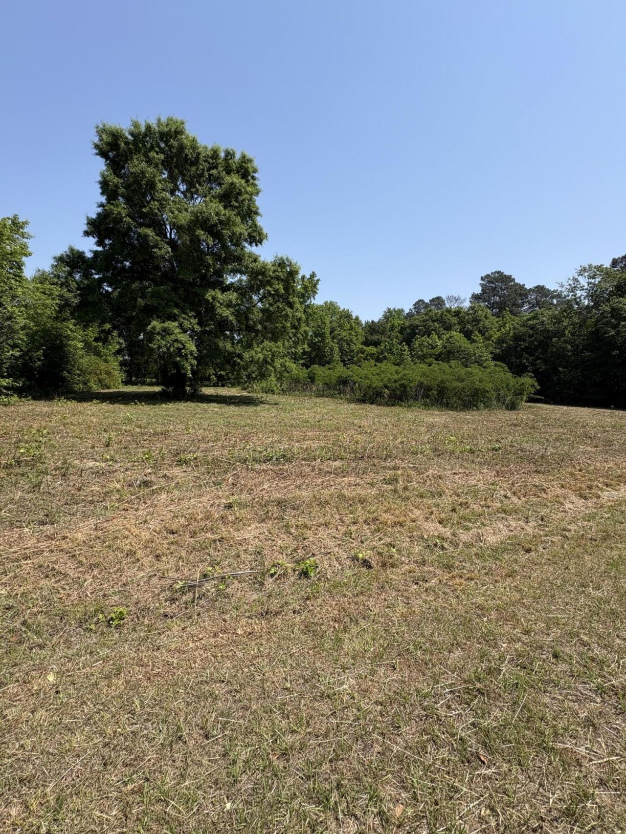 419 Old Bell Road Photo 6